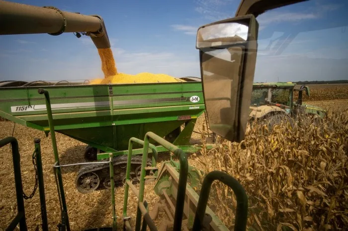 A combine harvester gathers corn in 2025. Agriculture accounts for more than $1.5 trillion of the U.S. economy. Alan Chin/Bloomberg News